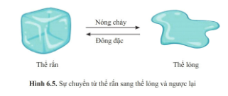 hinh-65-sgk-khtn-6-canh-dieu.png