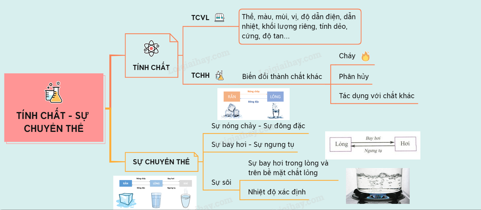 anh-so-do-tu-duy-bai-6-khtn-6-cd.png