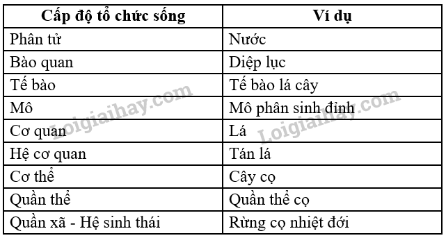 cau-hoi-thao-luan-tr-20-sinh-10-canh-dieu.png