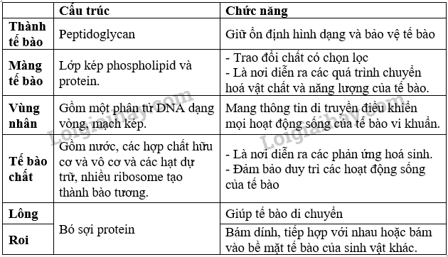 giai-luyen-tap-cau-1-tr-46-sinh-10-kn.png