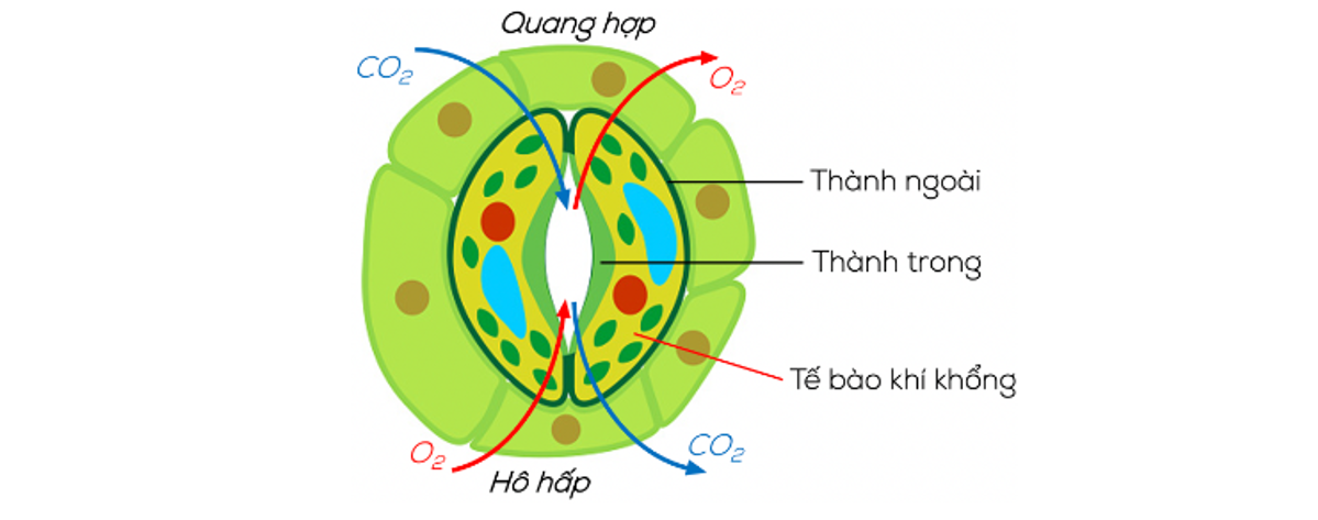 28-khi-khong.PNG