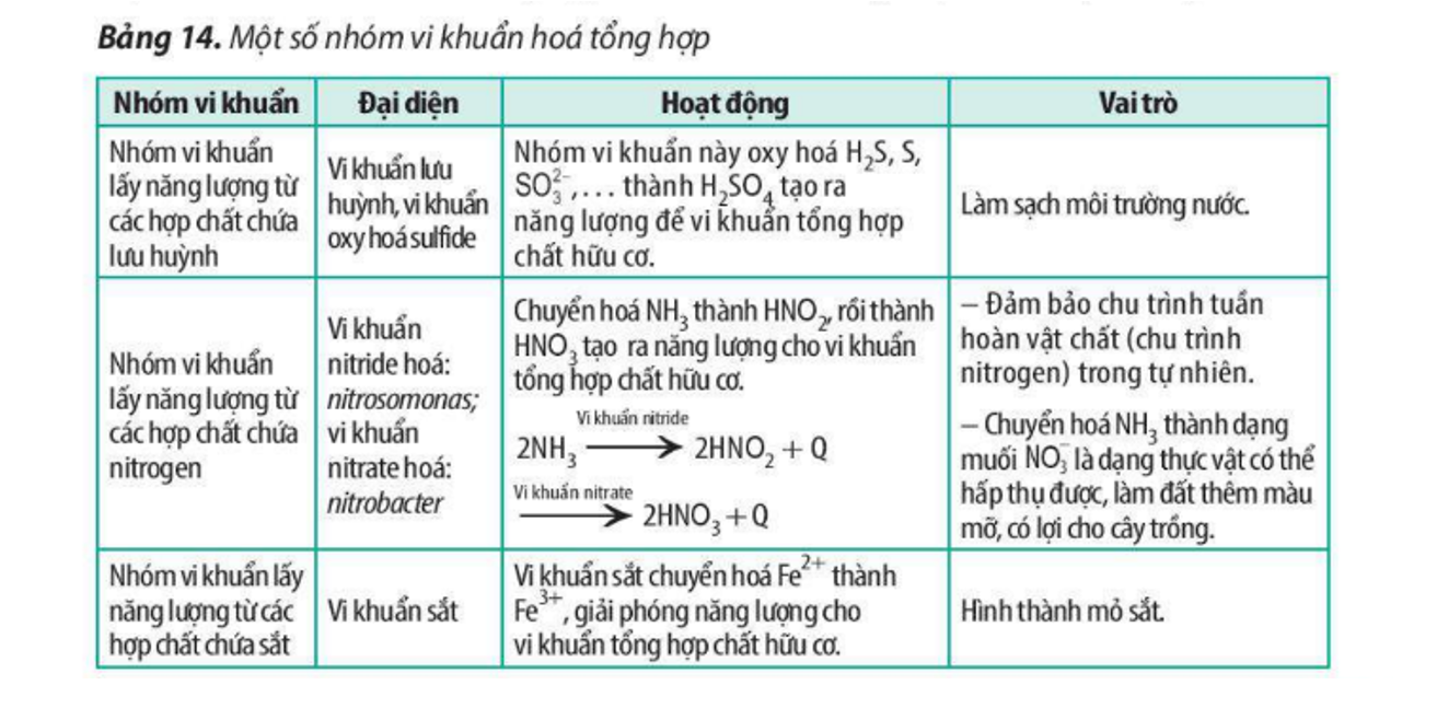 14-vk-hoa-tong-hop.PNG