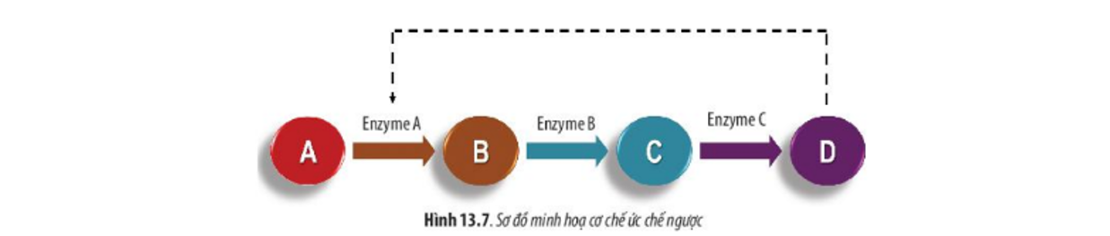 13-uc-che-nguoc_1.PNG