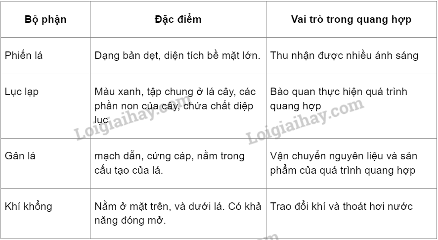 bai-22-quang-hop-o-thuc-vat-trang-101-102-103-khoa-hoc-tu-nhien-7-ket-noi-tri-thuc-1679997027_7.jpg