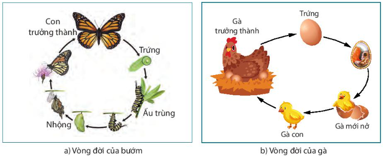 giai-khoa-hoc-tu-nhien-7-bai-38-trang-156-157-ket-noi-tri-thuc-1679997684.jpg