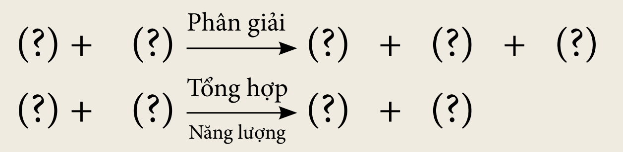 iai-khoa-hoc-tu-nhien-7-bai-24-trang-111-112-ket-noi-tri-thuc-1679997803_2.jpg