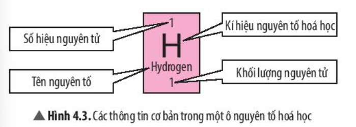 iai-khoa-hoc-tu-nhien-7-bai-4-trang-22-23-24-25-26-27-28-29-30-chan-troi-sang-tao-1679996679_6.jpg