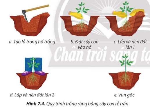 iai-cong-nghe-lop-7-bai-7-trang-42-43-44-45-46-47-sgk-chan-troi-sang-tao-1680072132_2.jpg