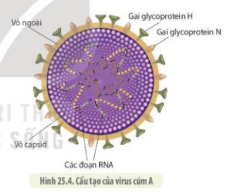 Diagram, schematicDescription automatically generated