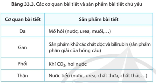 iai-khoa-hoc-tu-nhien-8-bai-33-trang-157-158-159-160-161-canh-dieu-1680860645_4.jpg