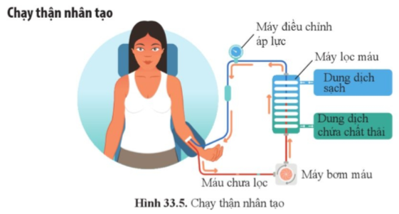 iai-khoa-hoc-tu-nhien-8-bai-33-trang-157-158-159-160-161-canh-dieu-1680860645_6.jpg