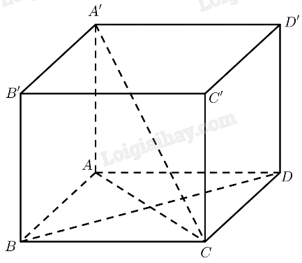 1687767127.png