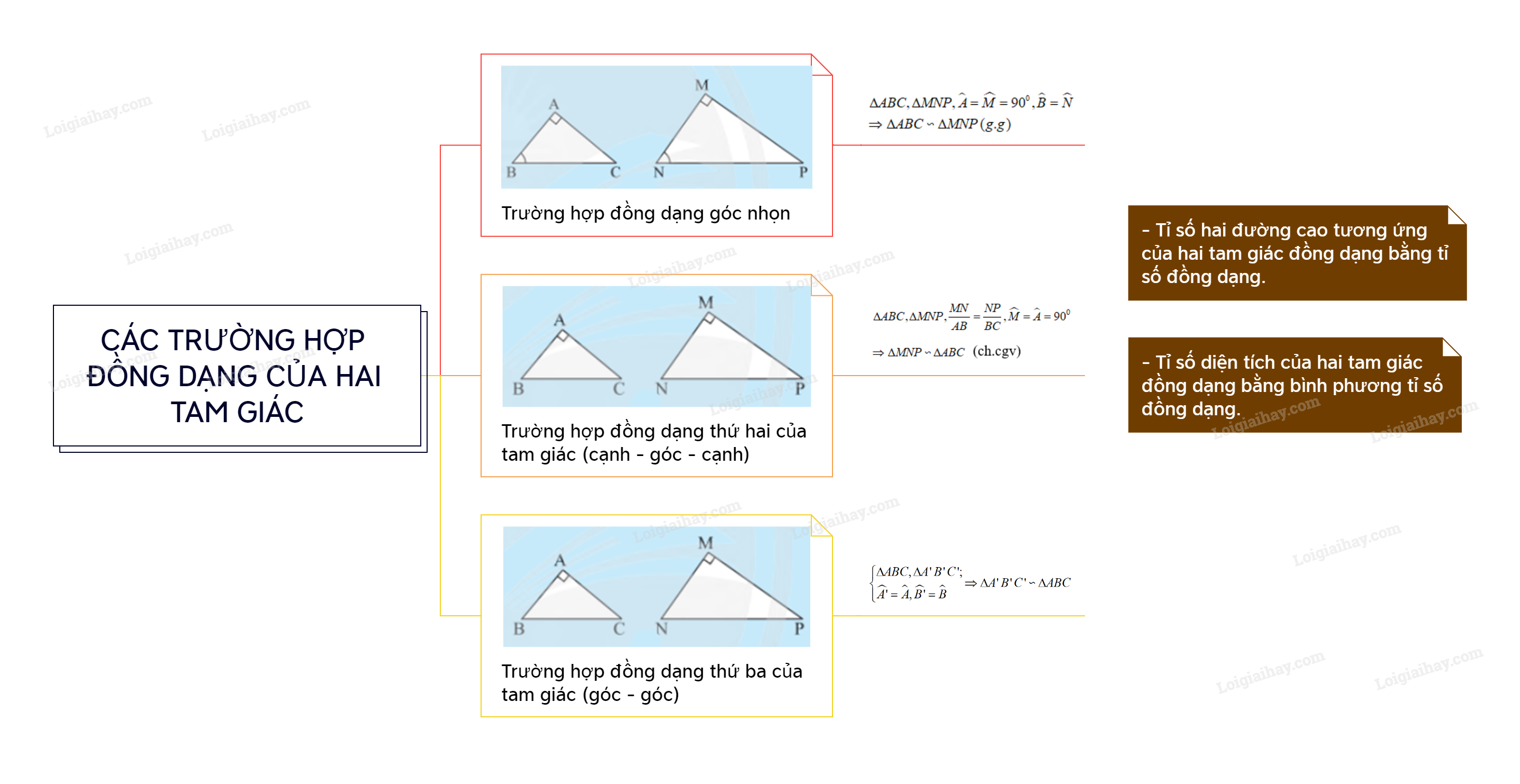 83-cac-truong-hop-dong-dang-cua-hai-tam-giac.png