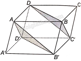 1693458458.png