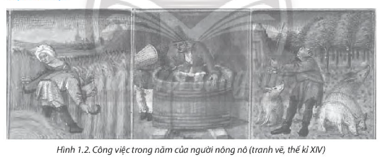 bai-1-qua-trinh-hinh-thanh-va-phat-trien-che-do-phong-kien-o-tay-au-sbt-lich-su-va-dia-li-7-chan-troi-sang-tao-1710772181.jpg