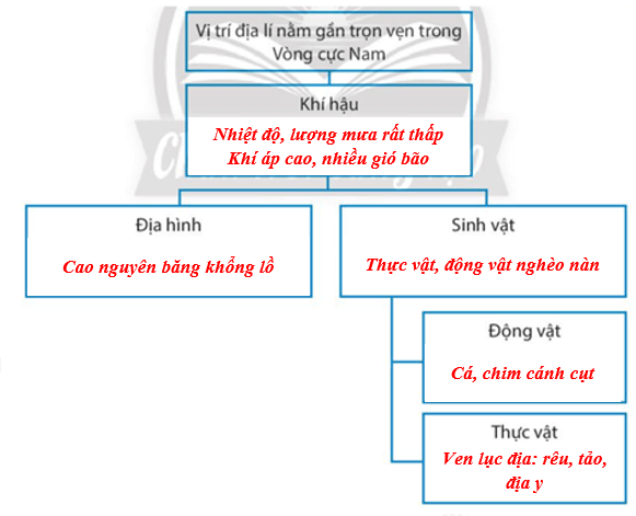 iai-sbt-lich-su-va-dia-li-7-bai-13-phat-kien-ra-chau-my-vi-tri-dia-li-va-pham-vi-chau-my-trang-51-52-53-chan-troi-sang-tao-co-dap-an-va-loi-giai-chi-tiet-ngan-gon-cho-tat-ca-cac-bai-tap-sbt-lich-su-va-dia-li-7-chan-troi-sang-tao-1710948689_9.jpg